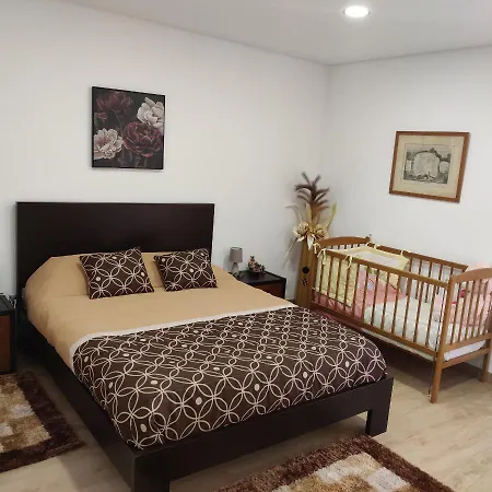 Dina House ボチカス