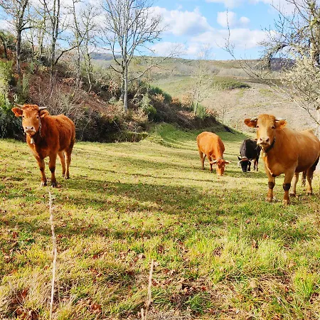 Dina House Nyaraló *